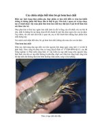 Các chiêu nhận biết tôm, bò, gà bơm hoá chất