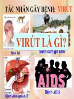 Cấu trúc của viirut và sự nhân lên