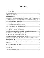 Tình yêu và một số biểu hiện sai lệch trong tình yêu của thanh niên, học sinh hiện nay