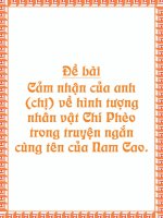 Cam nhan nhan vat Chi Pheo