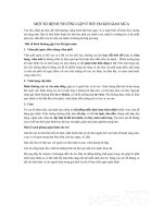 Một số bệnh thường gặp ở trẻ em khi giao mùa