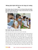 Những dịch bệnh dễ lây lan nơi công sở, trường học