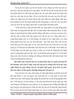 tiểu luận Chuyên ngành Luật Hành chính & Hiến pháp