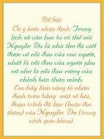 Chung minh Nguyen Du la nha van cua phu nu