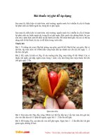 Bài thuốc trị ghẻ dễ áp dụng