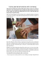 Cách hay phân biệt mít bị tiêm hóa chất và mít thường