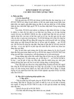 skkn kinh nghiệm về cập nhật biểu mẫu PCGD THCS