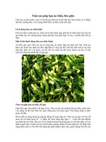 Tâm sen giúp bạn an thần, thư giãn