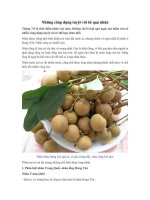 Những công dụng tuyệt vời từ quả nhãn