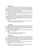 Bài tập luật lao động