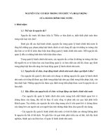 NGUYÊN TẮC CƠ BẢN TRONG TỔ CHỨC VÀ HOẠT ĐỘNG CỦA HÀNH CHÍNH NHÀ NƯỚC