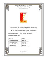 Điều khiển thiết bị điện tử qua internet