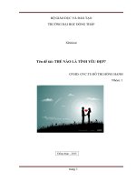 Bài tiểu luận thế nào là tình yêu đẹp