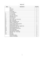 skkn phương pháp nghiên cứu nhằm phát triển môn bóng chuyền thông qua việc dạy nội dung thể thao tự chọn ở trường THCS