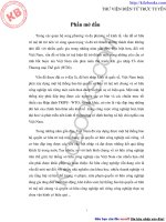 Hệ thống bảo hộ quyền sở hữu công nghiệp của Việt Nam hiện nay