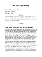 phản ánh về một vấn đề thời sự tự chọn trong đó có phân tích hai mặt của vấn đề được mất, thuận lợi khó khăn, cơ hội thách thức, tích cực tiêu cực khởi sắc sự trì trệ, cải tiến và rào cản