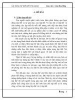 skkn xây dựng tập thể lớp vững mạnh