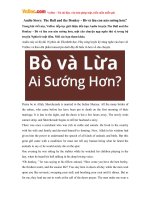 Audio Story: The Bull and the Donkey - Bò và lừa con nào sướng hơn?