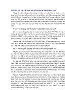 Cải cách cấu trúc của pháp luật về xử phạt vi phạm hành chính