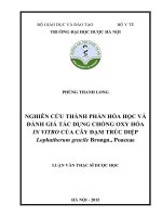 Nghiên cứu thành phần hóa học và đánh giá tác dụng chống oxy hóa in vitro của cây đạm trúc diệp lophatherum gracile brongn , poaceae 