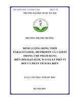 Định lượng đồng thời paracetamol, ibuprofen và cafein trong chế phẩm bằng biến đổi đạo hàm, wavelet phổ tỷ đối và phân tích đa biến 