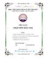 Tiểu luận nhập môn báo ảnh