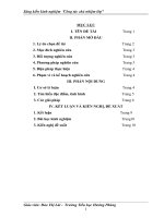 SKKN hay về công tác chủ nhiệm lớp 