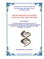 SKKN sử dụng bản đồ tư duy để củng cố các bài trong chương cơ chế di truyền, biến dị và các quy luật di truyền của chương trình sinh học 12 cơ bản