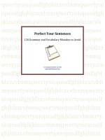 Perfect Your Sentences - 120 Grammar and Vocabulary Mistakes To Advoid