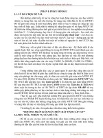 SKKN sử dụng máy tính cầm tay 