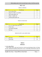 SKKN kinh nghiệm giải các bài toán tính tổng của dãy số viết theo quy luật 