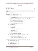 Nghiên cứu khả năng xúc tác của nước phèn trong xử lý nước thải dệt nhuộm