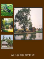 nhà ở nông thôn Việt Nam