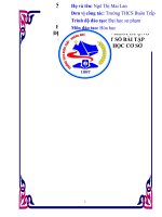 SKKN hướng dẫn học sinh vận dụng định luật bảo toàn khối lượng để giải nhanh một số bài tập hóa học ở THCS