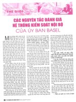 Các nguyên tắc đánh giá hệ thống kiểm soát nội bộ của ủy ban basel 