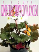 Bài giảng sinh học 11   hưng tính và điện thế nghỉ