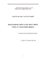 Hoạch định chiến lược phát triển công ty tm forwarding