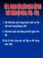 Bài 13  phong trào cách mạng việt nam trước thành lập đảng