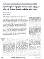 Áp dụng các nguyên tắc quản trị công ty vào hệ thống doanh nghiệp việt nam 