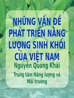 Những vấn đề phát triển năng lượng sinh khối của việt nam