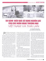 So sánh hiệu quả sử dụng nguồn lực của các ngân hàng thương mại việt nam và thái lan 