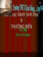 Bài giảng sinh học 9 thực hành quan sát thường biến (42) 