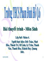 Bài giảng sinh học 9 bài ô nhiễm môi trường (50) 