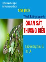 Bài giảng sinh học 9 thực hành quan sát thường biến (3) 