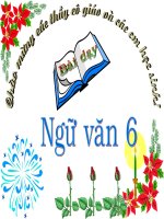 Bài giảng điện tử ngữ văn 6 tham khảo em bé thông minh (12) 