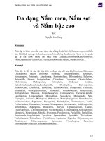 Đa dạng nấm men, nấm sợi và nấm bậc cao 