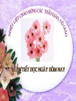 Khúc hát chim sơn ca