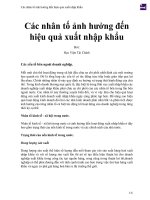 Các nhân tố ảnh hưởng đến hiệu quả xuất nhập khẩu 