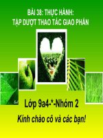 Bài giảng sinh học 9 thực hành tập dượt thao tác giao phấn (10) 