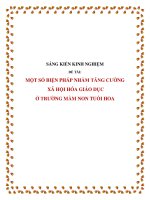 skkn-Một số biện pháp nhằm tăng cường xã hội hóa giáo dục ở trường mầm non Tuổi Hoa